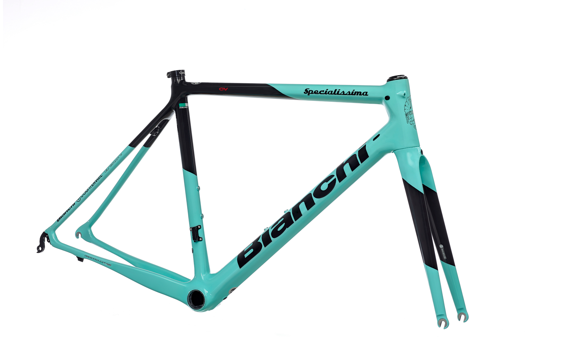 bianchi road frame